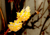 DSC07909.JPG (997.02 KiB) 24362-mal betrachtet DSC07909.JPG