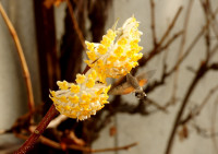 DSC07913a.JPG (997.18 KiB) 24362-mal betrachtet DSC07913a.JPG