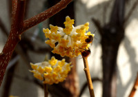 DSC07916a.JPG (1005.49 KiB) 24362-mal betrachtet DSC07916a.JPG