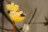 DSC07924.JPG (825.03 KiB) 24199-mal betrachtet DSC07924.JPG