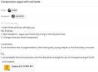 wook_communication.JPG (47.24 KiB) 373233-mal betrachtet wook_communication.JPG