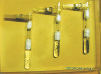 Strong.21-07-09 Kg.jpg (109.88 KiB) 38660-mal betrachtet Strong.21-07-09 Kg.jpg