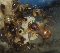 20230714_DSCN8284s.JPG (911.26 KiB) 167750-mal betrachtet 20230714_DSCN8284s.JPG