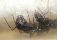 20230901_DSCN9759s.JPG (546.32 KiB) 329856-mal betrachtet 20230901_DSCN9759s.JPG