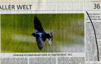 Kiebitz-Echo-6.10.2023.jpg (287.29 KiB) 511087-mal betrachtet Kiebitz-Echo-6.10.2023.jpg