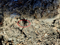 IMG-20240203-WA0001.jpg (706.26 KiB) 22387-mal betrachtet IMG-20240203-WA0001.jpg