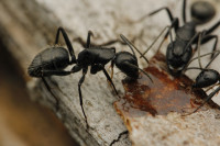 _MG_9811.JPG (764.43 KiB) 22364-mal betrachtet _MG_9811.JPG