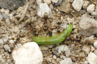 _MG_9833.JPG (1.16 MiB) 22364-mal betrachtet _MG_9833.JPG