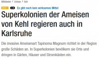 Tap.magnum Nachricht.jpg