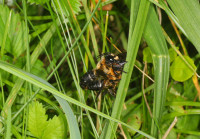 DSC08614a.JPG