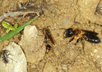 DSC09879a.JPG