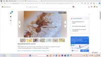 Schermafbeelding 2024-05-28 181634.png
