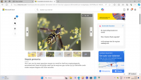 Schermafbeelding 2024-05-28 182058.png