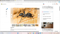 Schermafbeelding 2024-05-28 182231.png