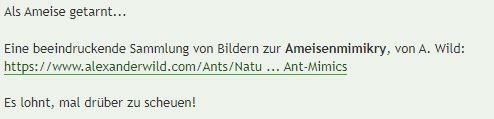 scheuen.JPG