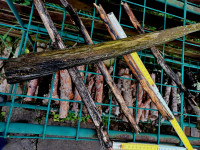 20240911_1609Ismex-a.jpg (272.8 KiB) 416188-mal betrachtet 20240911_1609Ismex-a.jpg