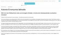 Erromyrma myants.jpg