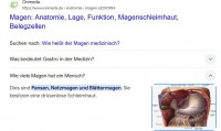 Magen.jpg