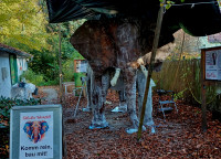 1-Elefant-24-11-03.6514.jpg