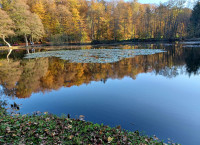 4-Ludwigst.3.11.2024.6516.jpg