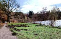 2-Liegewiese605.jpg
