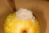 DSC00179.JPG