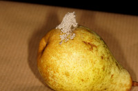 DSC00182.JPG