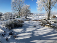 Biotop im Schnee.jpg