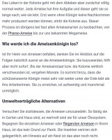 Königin 3.jpg
