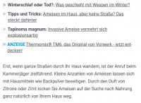 Königin 4.jpg