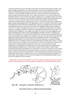 Screenshot_20250207_182056_Adobe Acrobat.jpg