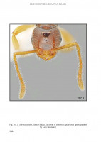 Screenshot_20250216_134240_Adobe Acrobat.jpg