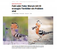 KI-Wiedehopf.png (693.46 KiB) 41734-mal betrachtet KI-Wiedehopf.png