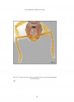 Screenshot_20250309_110303_Adobe Acrobat.jpg