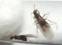 DSCN2074s.JPG