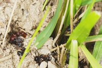 DSC02897.JPG (909.22 KiB) 134000-mal betrachtet DSC02897.JPG