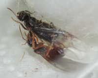 DSCN2134s.JPG
