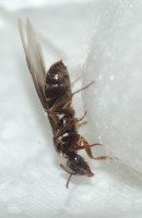 DSCN2145s.JPG