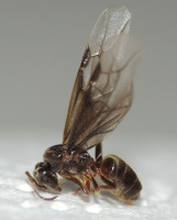 DSCN2153s.JPG