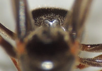 DSCN2178s.JPG
