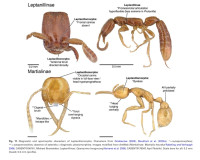 Screenshot_20251117_141053_Adobe Acrobat.jpg