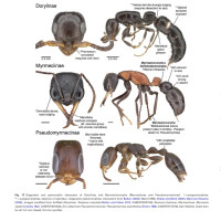 Screenshot_20251117_141129_Adobe Acrobat.jpg