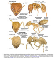 Screenshot_20251117_141136_Adobe Acrobat.jpg