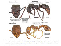 Screenshot_20251117_141154_Adobe Acrobat.jpg