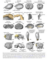 Screenshot_20251117_175132_Adobe Acrobat.jpg