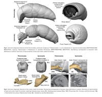 Screenshot_20251117_175140_Adobe Acrobat.jpg