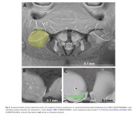 Screenshot_20251117_175208_Adobe Acrobat.jpg