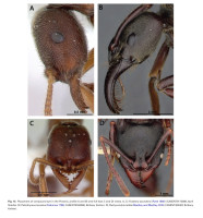 Screenshot_20251117_183346_Adobe Acrobat.jpg