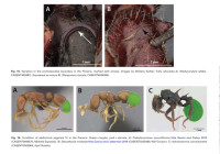 Screenshot_20251117_183354_Adobe Acrobat.jpg