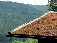 4-Dach-4447.jpg (136.25 KiB) 450137-mal betrachtet 4-Dach-4447.jpg